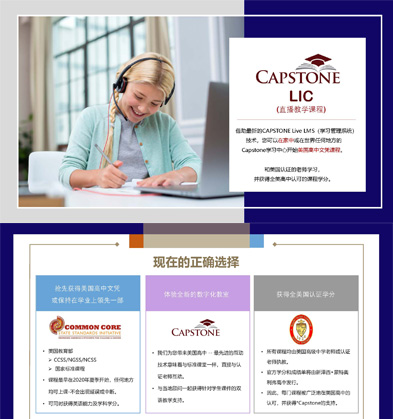 USA的Online項目