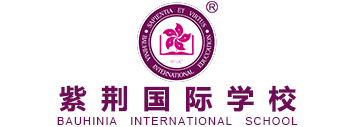 紫荆国际学校